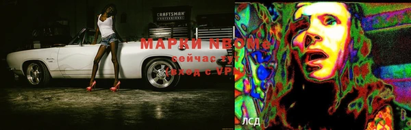 индика Вяземский