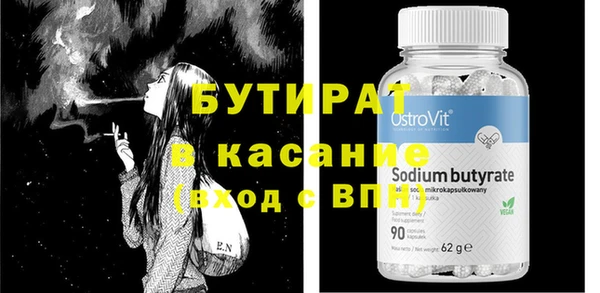 индика Вяземский