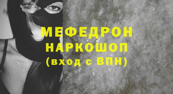 индика Вяземский