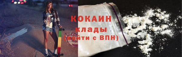 индика Вяземский