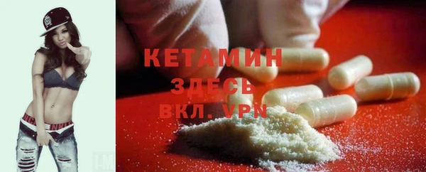 индика Вяземский