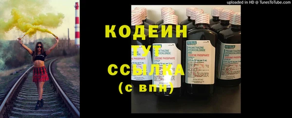 индика Вяземский
