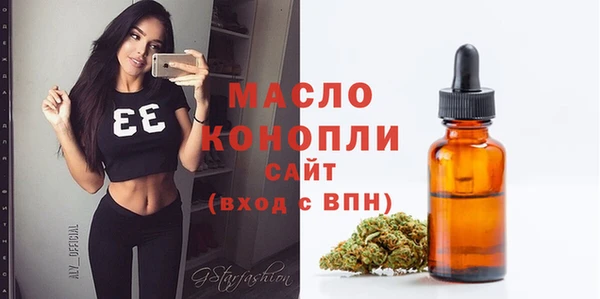 индика Вяземский