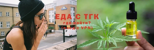 индика Вяземский