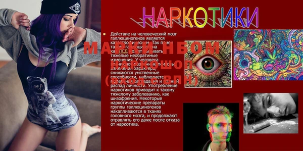 индика Вяземский