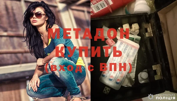 индика Вяземский