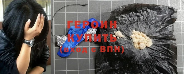 индика Вяземский