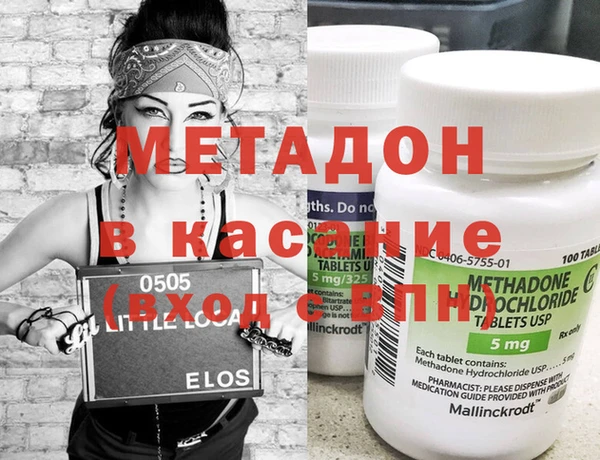 индика Вяземский
