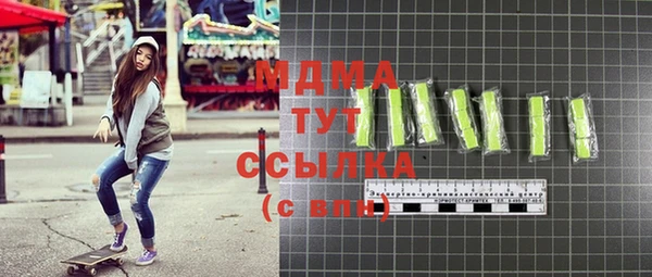 индика Вяземский