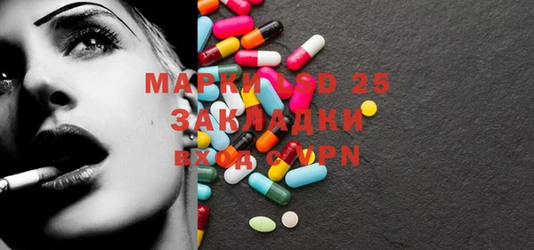 индика Вяземский