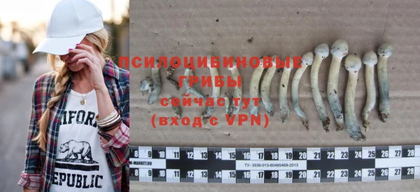 индика Вяземский