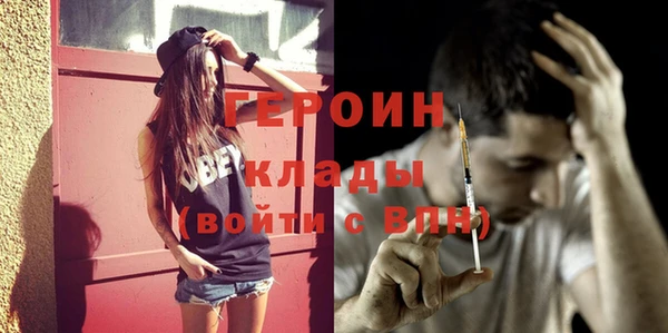 индика Вяземский