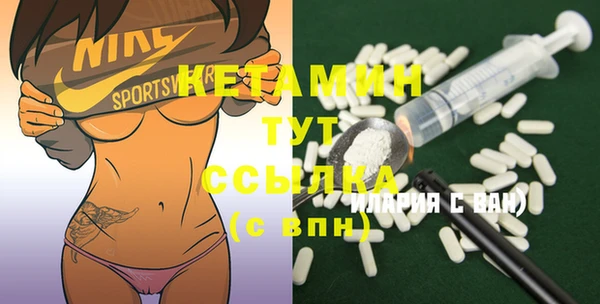 индика Вяземский