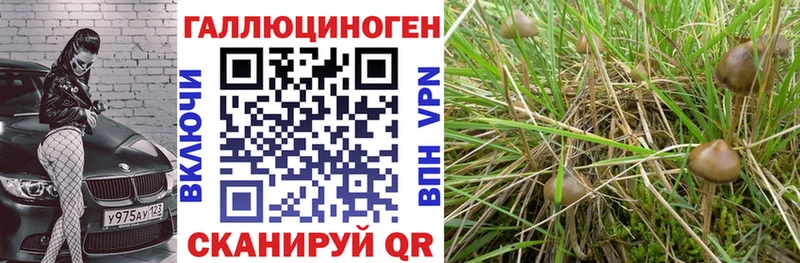 Галлюциногенные грибы ЛСД  маркетплейс наркотические препараты  Избербаш  закладка 